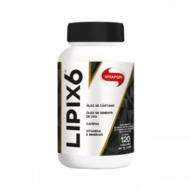 Lipix 6 (120 Caps) 100mg - Vitafor