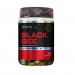 Black BEE 60 Cápsulas - Probiotica